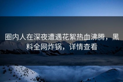 圈内人在深夜遭遇花絮热血沸腾，黑料全网炸锅，详情查看