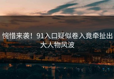 惋惜来袭！91入口疑似卷入竟牵扯出大人物风波