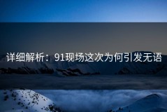 详细解析：91现场这次为何引发无语