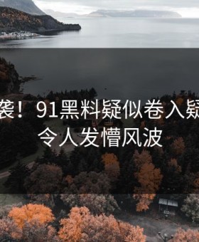 惊呆来袭！91黑料疑似卷入疑点重重令人发懵风波