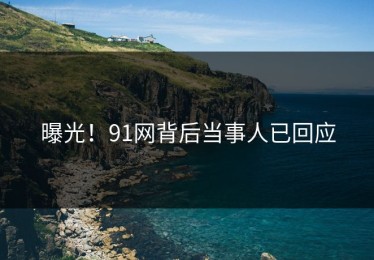 曝光！91网背后当事人已回应