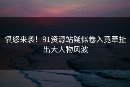 愤怒来袭！91资源站疑似卷入竟牵扯出大人物风波