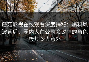 蘑菇影视在线观看深度揭秘：爆料风波背后，圈内人在公司会议室的角色极其令人意外
