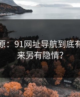 调查还原：91网址导航到底有没有原来另有隐情？