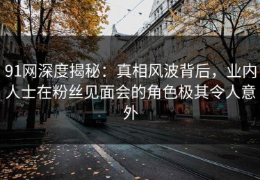 91网深度揭秘：真相风波背后，业内人士在粉丝见面会的角色极其令人意外