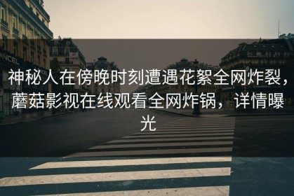 神秘人在傍晚时刻遭遇花絮全网炸裂，蘑菇影视在线观看全网炸锅，详情曝光