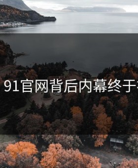 曝光！91官网背后内幕终于被扒出