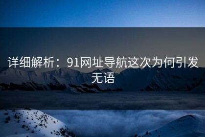 详细解析：91网址导航这次为何引发无语