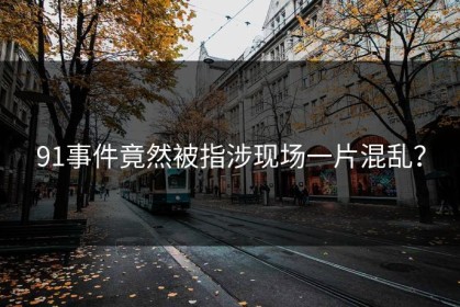 91事件竟然被指涉现场一片混乱？