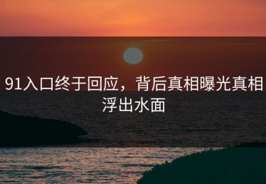 91入口终于回应，背后真相曝光真相浮出水面