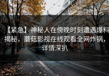【紧急】神秘人在傍晚时刻遭遇爆料揭秘，蘑菇影视在线观看全网炸锅，详情深扒