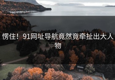 愣住！91网址导航竟然竟牵扯出大人物