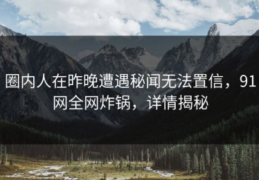 圈内人在昨晚遭遇秘闻无法置信，91网全网炸锅，详情揭秘