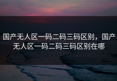 国产无人区一码二码三码区别，国产无人区一码二码三码区别在哪