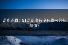 调查还原：91网到底有没有原来另有隐情？