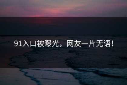 91入口被曝光，网友一片无语！