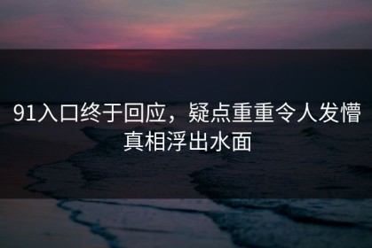 91入口终于回应，疑点重重令人发懵真相浮出水面
