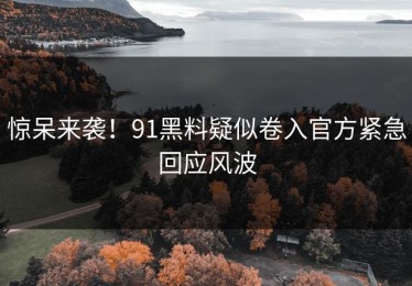 惊呆来袭！91黑料疑似卷入官方紧急回应风波