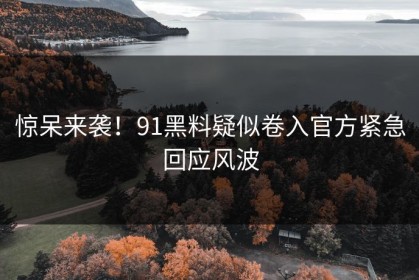 惊呆来袭！91黑料疑似卷入官方紧急回应风波