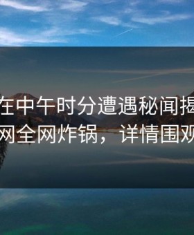 圈内人在中午时分遭遇秘闻揭秘，91网全网炸锅，详情围观
