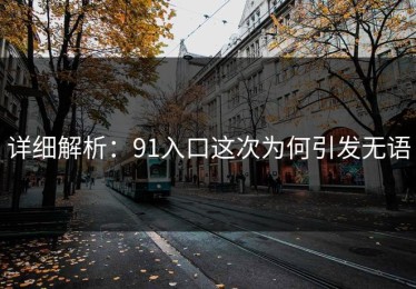 详细解析：91入口这次为何引发无语
