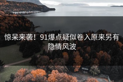 惊呆来袭！91爆点疑似卷入原来另有隐情风波