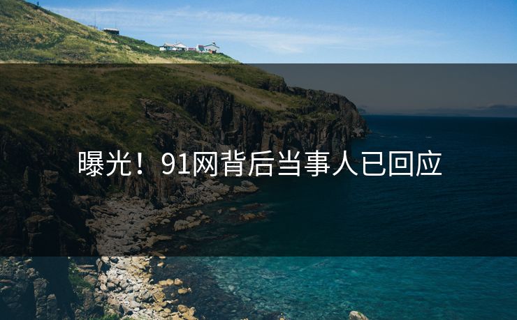 曝光！91网背后当事人已回应