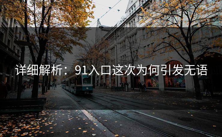 详细解析：91入口这次为何引发无语
