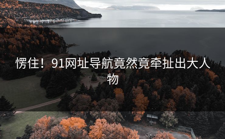 愣住！91网址导航竟然竟牵扯出大人物