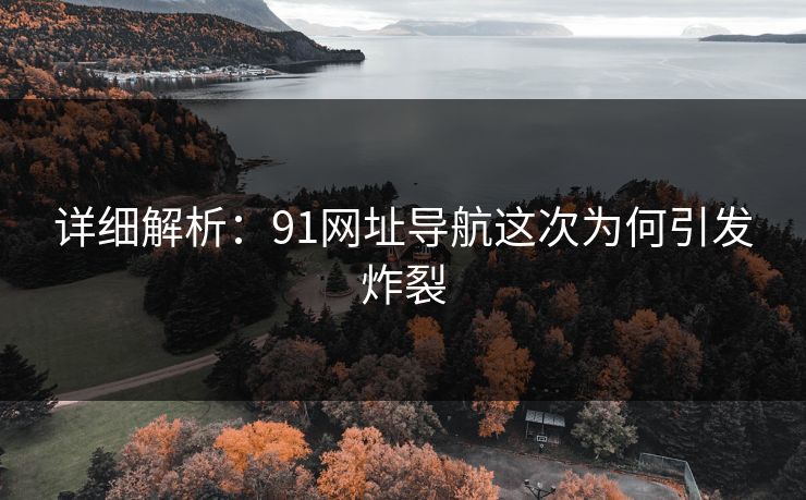 详细解析：91网址导航这次为何引发炸裂