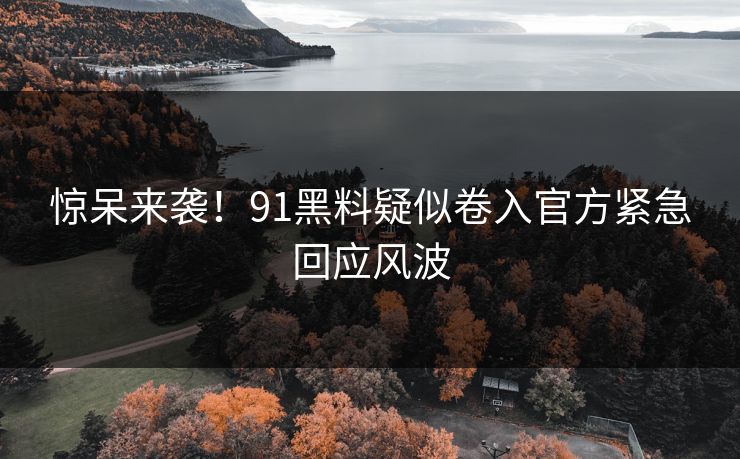 惊呆来袭！91黑料疑似卷入官方紧急回应风波