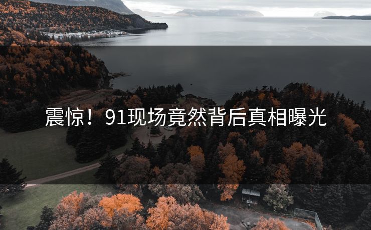 震惊！91现场竟然背后真相曝光