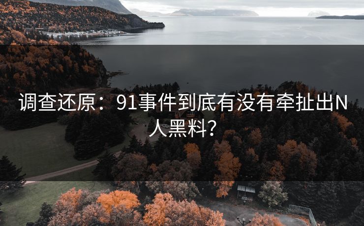 调查还原：91事件到底有没有牵扯出N人黑料？