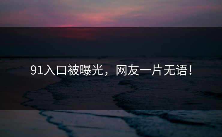 91入口被曝光，网友一片无语！