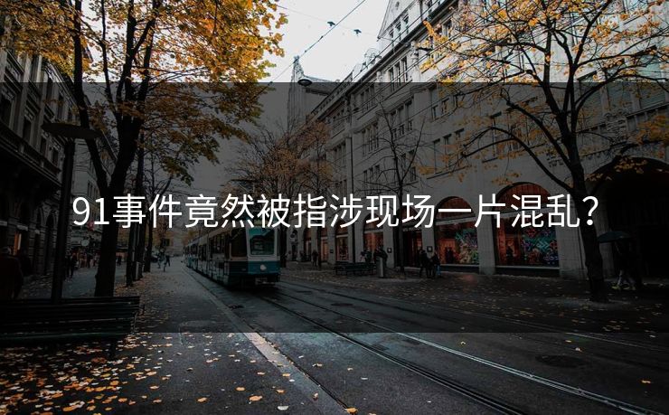 91事件竟然被指涉现场一片混乱？