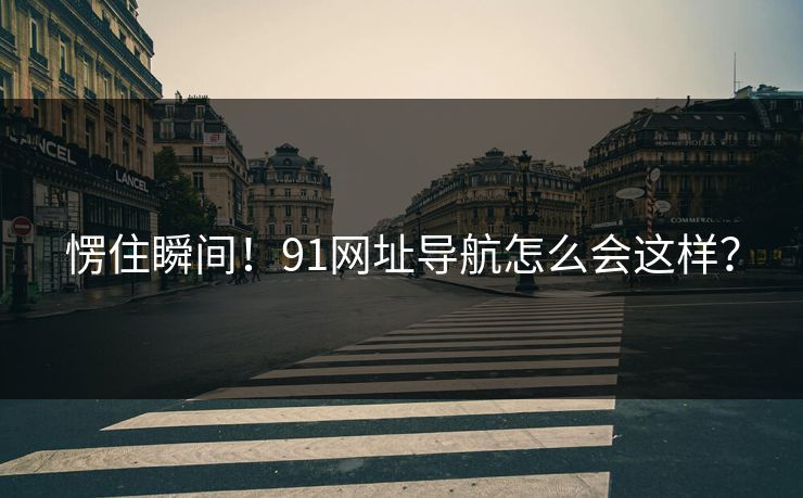 愣住瞬间！91网址导航怎么会这样？