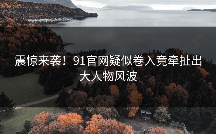 震惊来袭！91官网疑似卷入竟牵扯出大人物风波