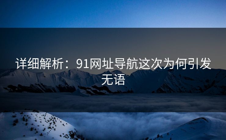 详细解析：91网址导航这次为何引发无语