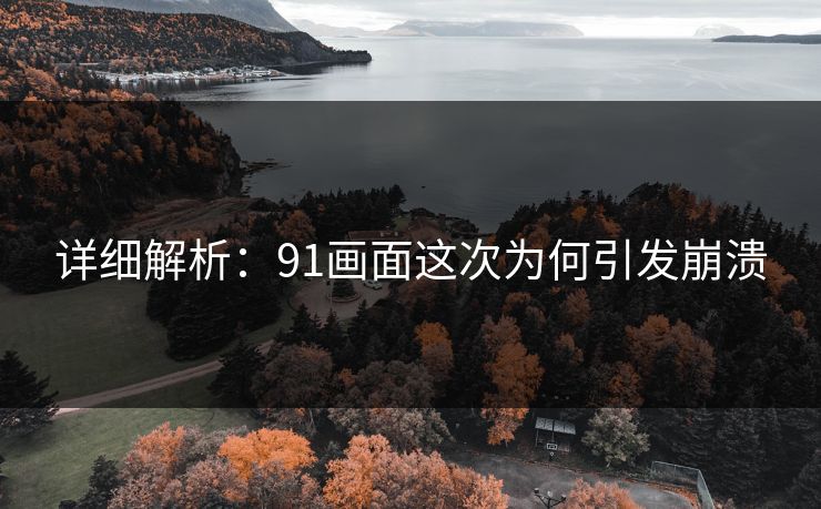 详细解析：91画面这次为何引发崩溃