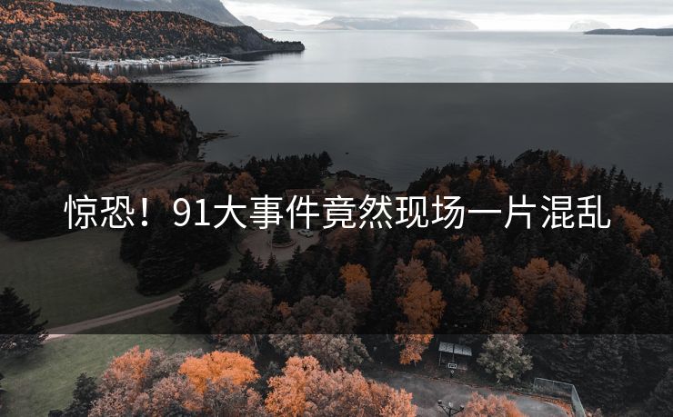 惊恐！91大事件竟然现场一片混乱