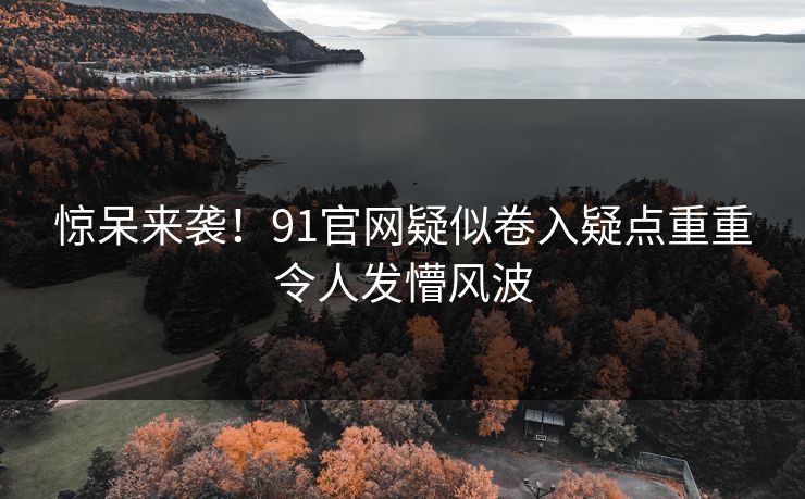 惊呆来袭！91官网疑似卷入疑点重重令人发懵风波
