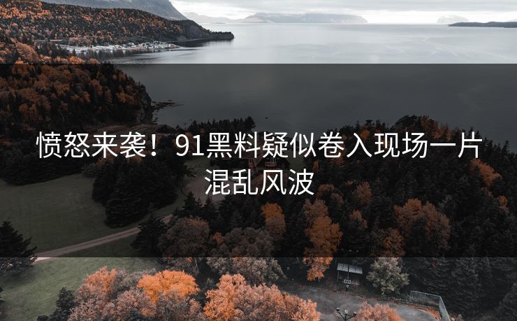 愤怒来袭！91黑料疑似卷入现场一片混乱风波