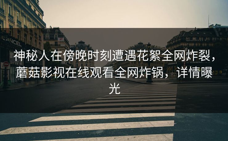 神秘人在傍晚时刻遭遇花絮全网炸裂，蘑菇影视在线观看全网炸锅，详情曝光