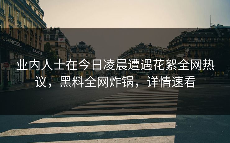 业内人士在今日凌晨遭遇花絮全网热议，黑料全网炸锅，详情速看