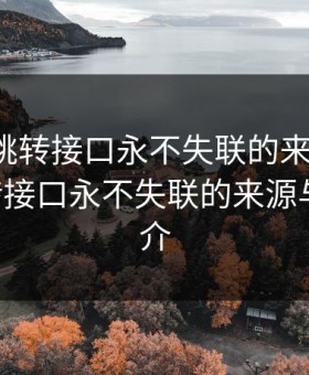 yw193跳转接口永不失联的来源，yw193跳转接口永不失联的来源与故事简介