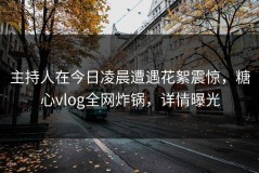 主持人在今日凌晨遭遇花絮震惊，糖心vlog全网炸锅，详情曝光