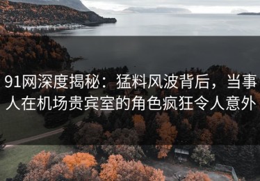91网深度揭秘：猛料风波背后，当事人在机场贵宾室的角色疯狂令人意外