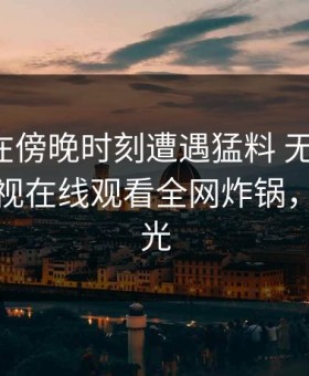 神秘人在傍晚时刻遭遇猛料 无法置信，蘑菇影视在线观看全网炸锅，详情曝光