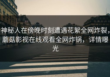 神秘人在傍晚时刻遭遇花絮全网炸裂，蘑菇影视在线观看全网炸锅，详情曝光