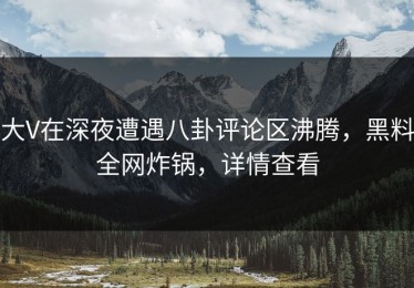 大V在深夜遭遇八卦评论区沸腾，黑料全网炸锅，详情查看